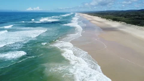 Fraser Island 库存影片 213095348