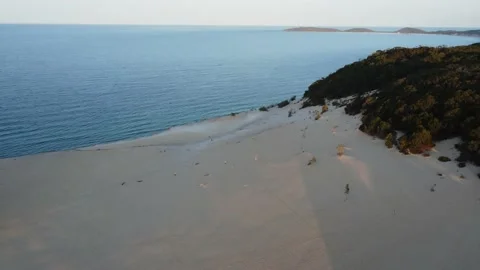 Fraser Island 库存影片 213099551