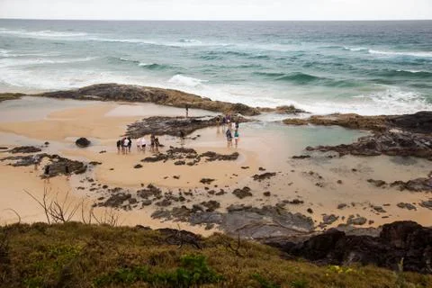 Fraser Island Stock Photos