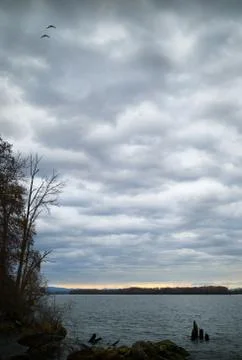 Fraser River Clouds Fotos Stock