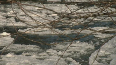 Fraser River CU Ice Flow Foreground branch Stock Footage 344129