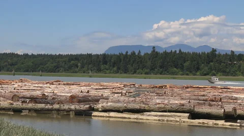 Fraser River Stock Footage 50540545