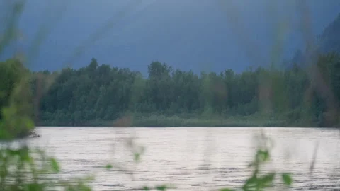 Fraser River Stock-Footage 314076742