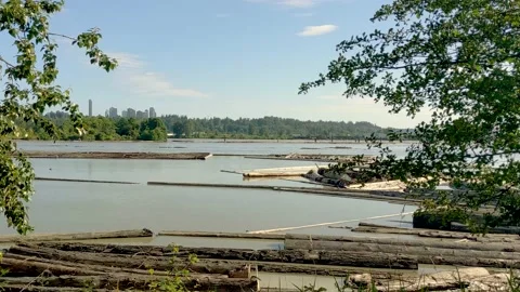 Fraser River High Water Stock Footage 134103362