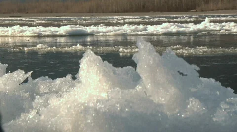 Fraser River Ice Foreground Flow Winter Stock Footage 344878