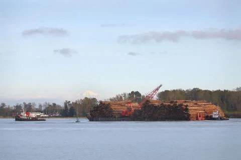 Fraser River Log Barge Stock Photos