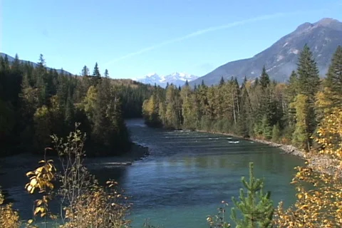 Fraser River at Mt Robson Stock Footage 153042