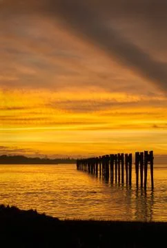 Fraser River Sunset Pilings Foto stock
