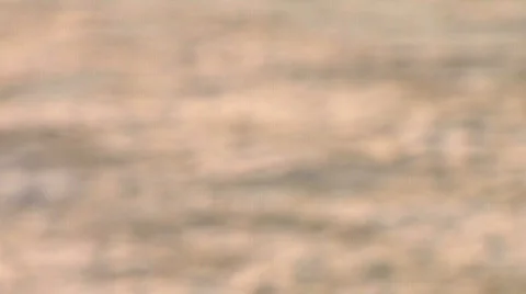 Fraser RiverCU SoftFocus 2 Stock Footage 345822