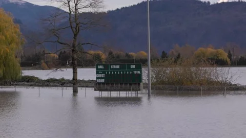 Fraser Valley farmers fields Видео 165489571