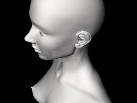 Frau -neun Video stock 7906340