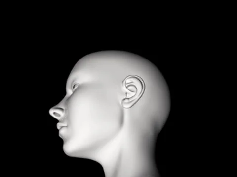 Frau10 Stock Footage 7905700