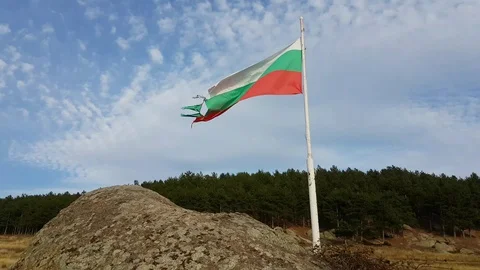 Frayed Bulgarian flag against cloud-flecked sky and pine forest Vídeos de archivo 97206633