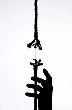 Frayed rope Stock Photos