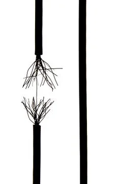 Frayed rope Stock Photos