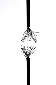 Frayed rope Stock Photos