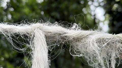 Frayed white rope strands with a knot against a blurred green outdoors 库存照片