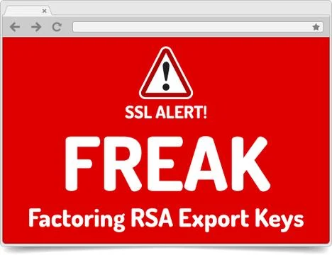 FREAK - Factoring RSA Export Keys Security - Warning in simple opened browser Stock-Illustration