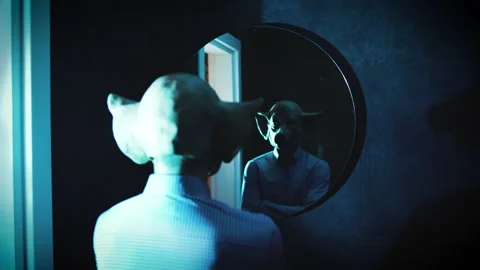 Mirror Horror 4K Stock Footage ~ Royalty Free Stock Videos | Pond5
