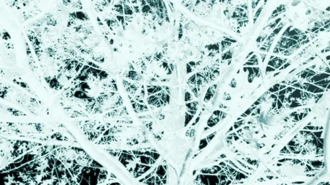 Freaky Vídeos de archivo 100699573