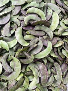 Freash creeper flat beans. Stock Photos