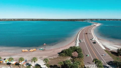 Fred Howard Beach Stock Footage 143741402