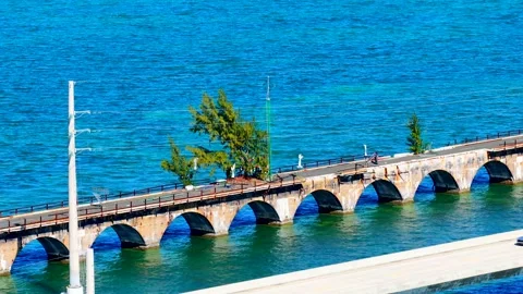 Fred The Tree Florida Keys aerial parallax orbit 스톡 동영상 325223297