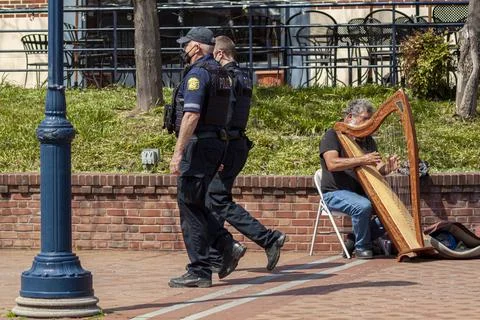 Frederick, MD, USA 04-07-2021: An elderly caucasian busker is playing harp on Stock-Fotos