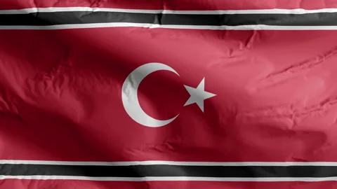 Flags Animated Free Stock Videos – Royalty-Free HD & 4K Videos | Pond5