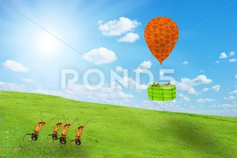Free ant Stock Illustration