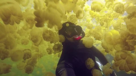 Free Diver Ascends Through Jellyfish Stock Footage 88190261