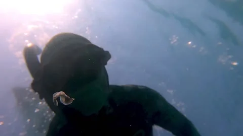 Free Diver Doing Training Finds Tiny Animal, Cannes, France - 15 Feb 2022 Stock Footage 205420455