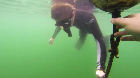 Free diver Stock Footage 25488451