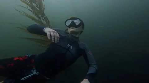 Free Diver in Kelp Forest Stock Footage 170801043