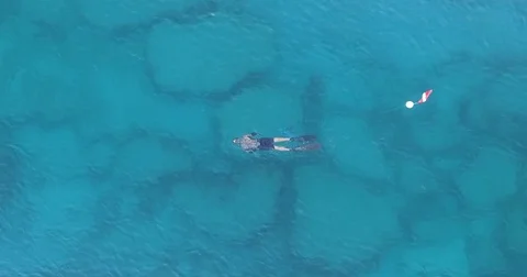Free Diver over Reef Stock Footage 84229238