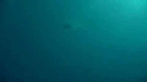 Free Diver P5 Stock Footage 946955