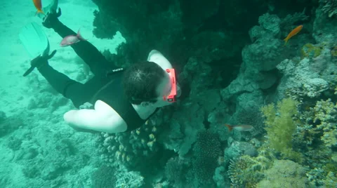 Free Diver P6 스톡 동영상 946665