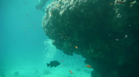 Free Diver P9 스톡 동영상 945157