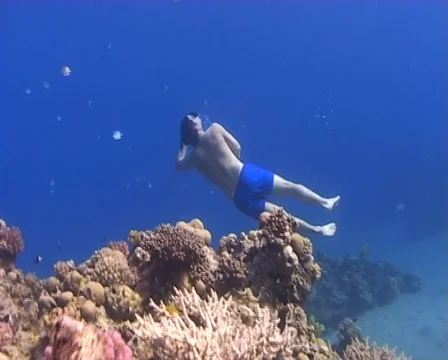 Free diver rising to surface Stock Footage 457863