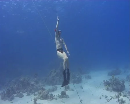 Free diver rising to surface Stock Footage 457874