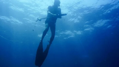 Free diving fishing  Stock Footage 122847873