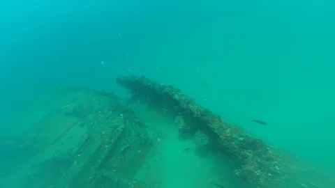 Free diving to a wreck Stock Footage 89360091