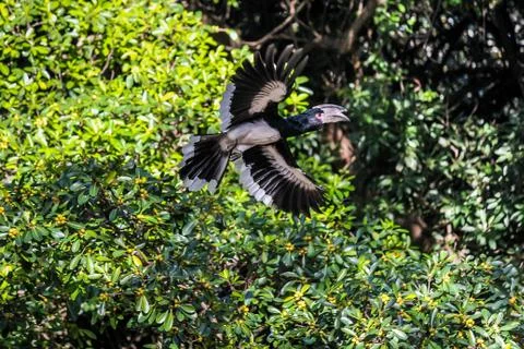 Free Fly Stock Photos