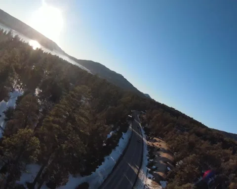 Free flying in Big Bear Stock Footage 221044503