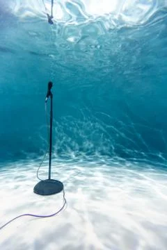 Free Microphone Underwater. Copy Space. Singing and Music Stock-Fotos