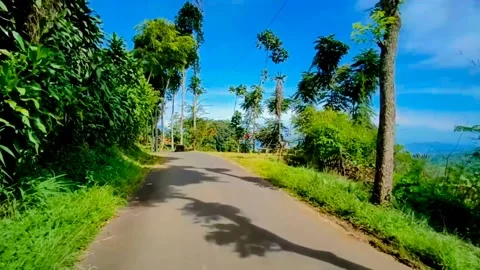 Free Mobile Footage Stock Footage 225596464