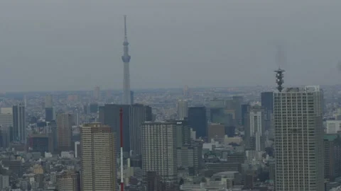 Free Observation Deck, Tokyo Metropolitan Government Building, Tokyo, Japan Stock Footage 159000650