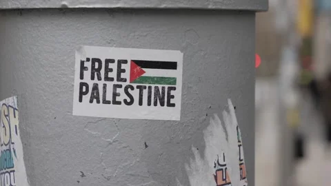 FREE PALESTINE Stock Footage 258596864