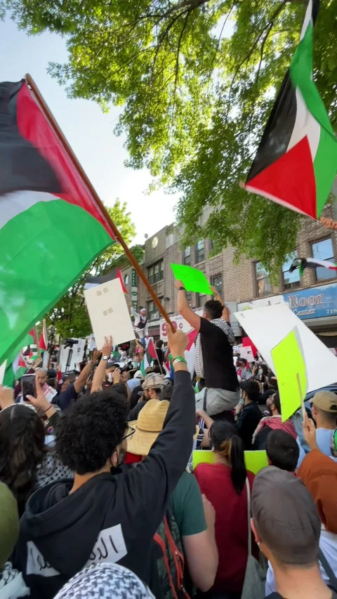 Free Palestine Palestinian Protest Stock Footage 157335604