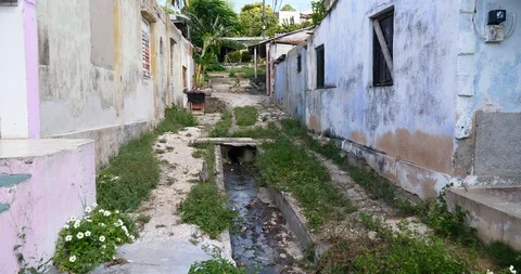 Free range chicken and chicks in poor country searching eating in sewers Stock Footage 118823552